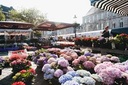 maastricht - marché hebdomadaire.jpg