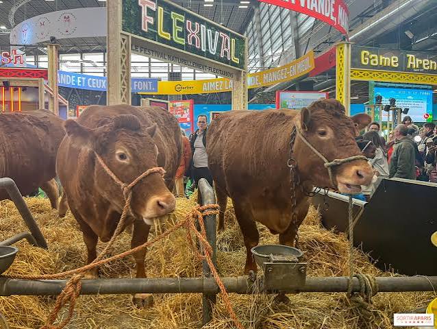 salon de l'agriculture Paris.jpg