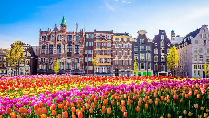 Amsterdam 1.webp