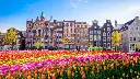Amsterdam 1.webp