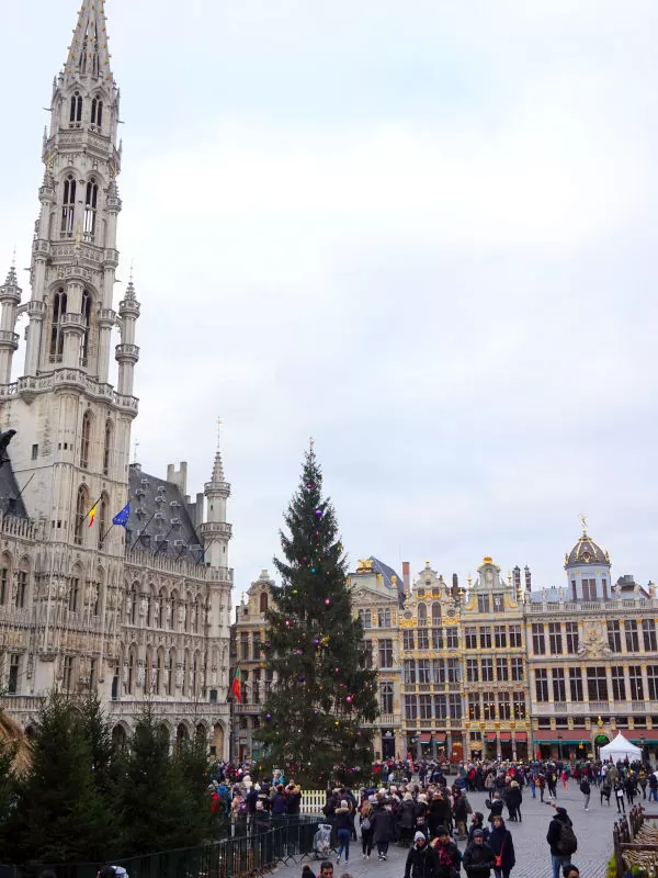 Bruges - 29 novembre 2026